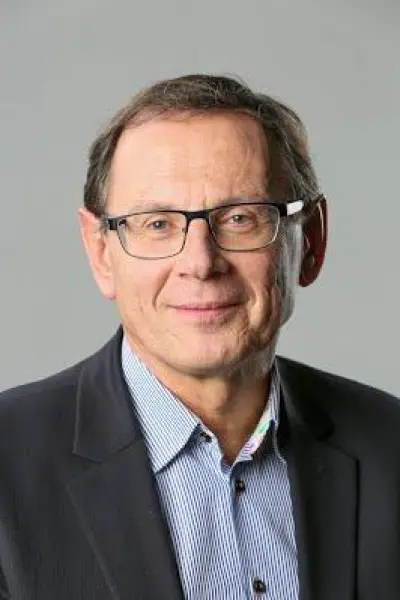 Dominique Boullier