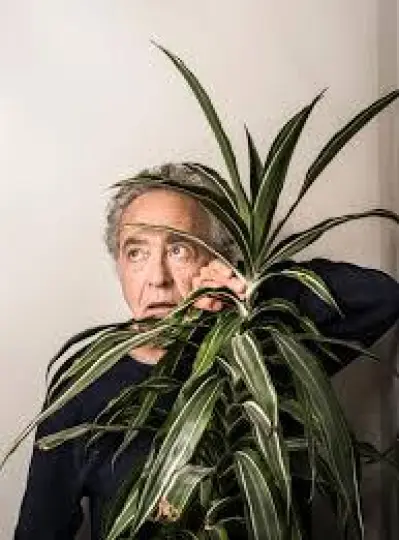Dominique Meens