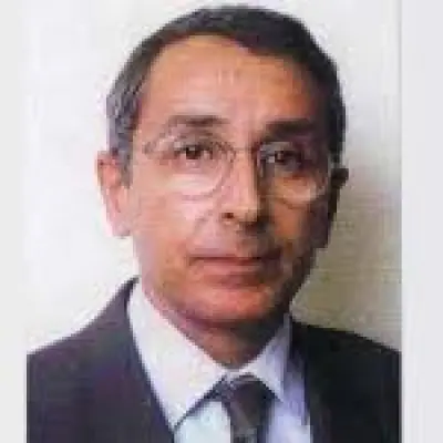 Michel-H Jamard