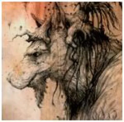 Yoann Lossel