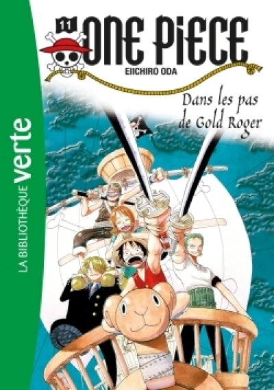 One Piece (roman)