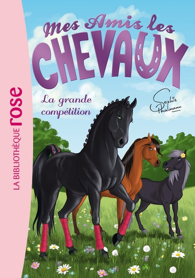Mes amis les chevaux, tome 2 : La grande compétition