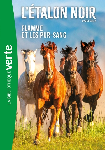 L'Étalon Noir