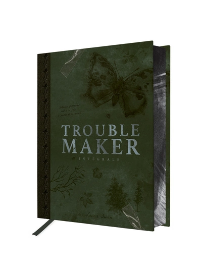 Troublemaker, intégrale