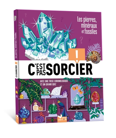 C'est pas sorcier - Fossiles, pierres et minéraux