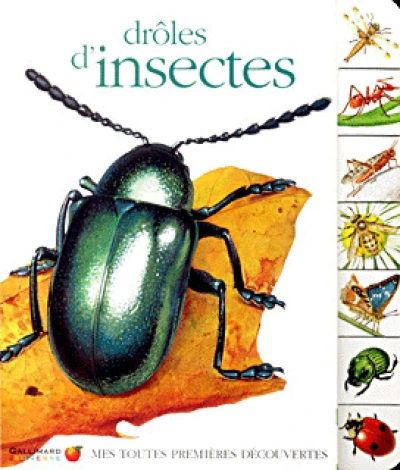 Drôles d'insectes