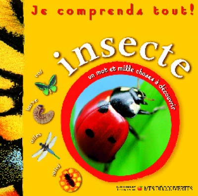 Je veux tout savoir ! Insecte : Un mot et mille choses à découvrir