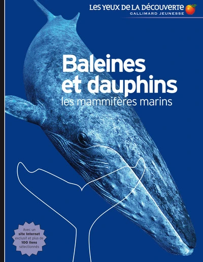 Baleines et dauphins, les mammifères marins