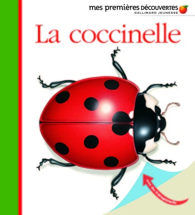 Mes premières découvertes : La coccinelle