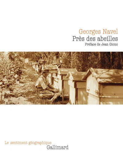 PRES DES ABEILLES