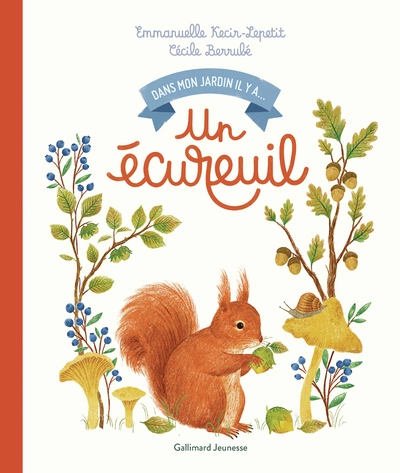 UN ECUREUIL
