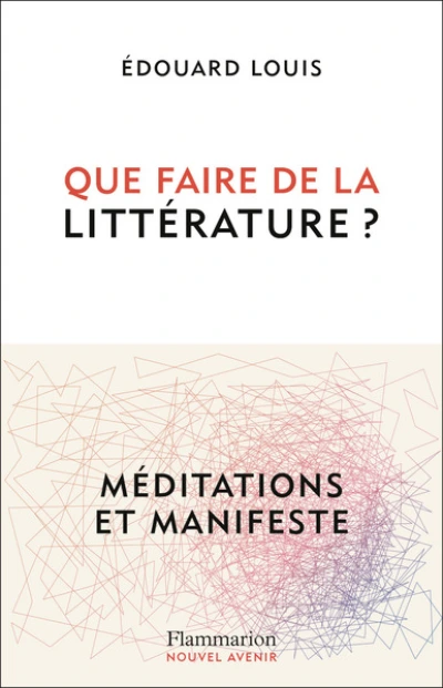 Que faire de la littérature ?