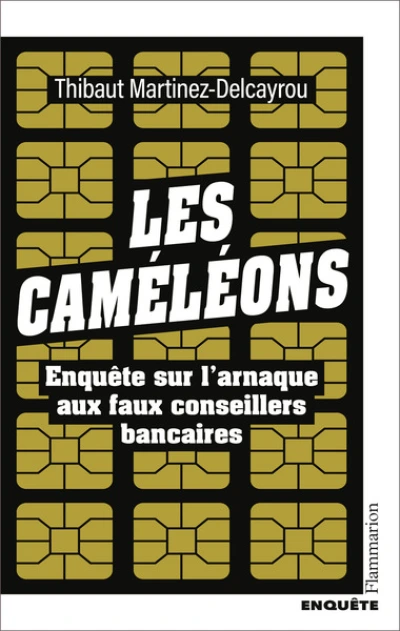 Les Caméléons: Enquête sur l'arnaque aux faux conseillers bancaires