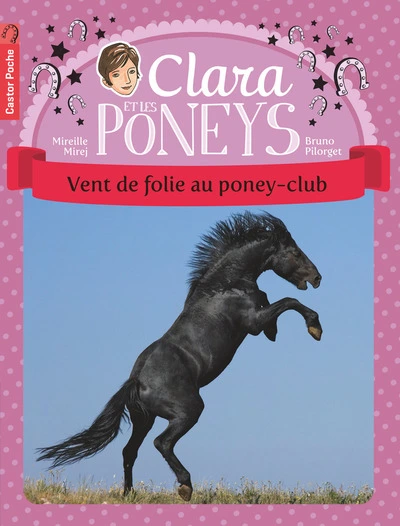 Clara et les Poneys, tome 8 : Vent de folie au poney-club