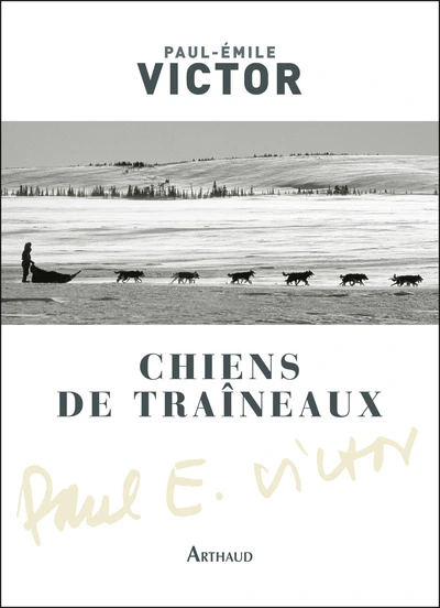 Chiens de traineaux compagnons du risque