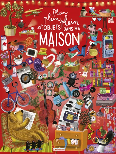 Plein, plein, plein d'objets dans ma maison