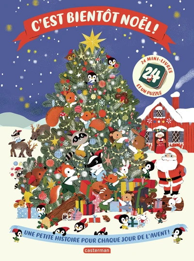 C'est bientôt Noël !: Une petite histoire pour chaque soir de l'avent !