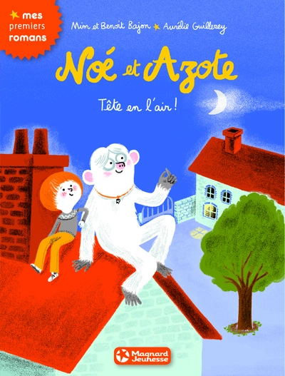 Noé et Azote, tome 7 : Tête en l'air !