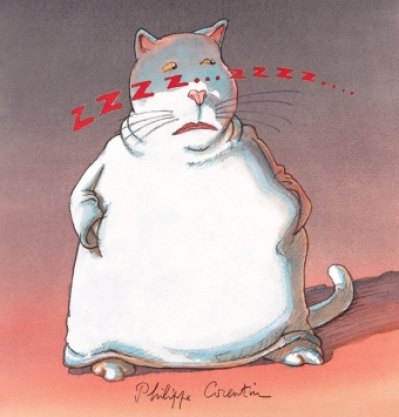 Zzzz... zzzz....