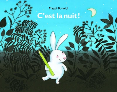 C'est la nuit