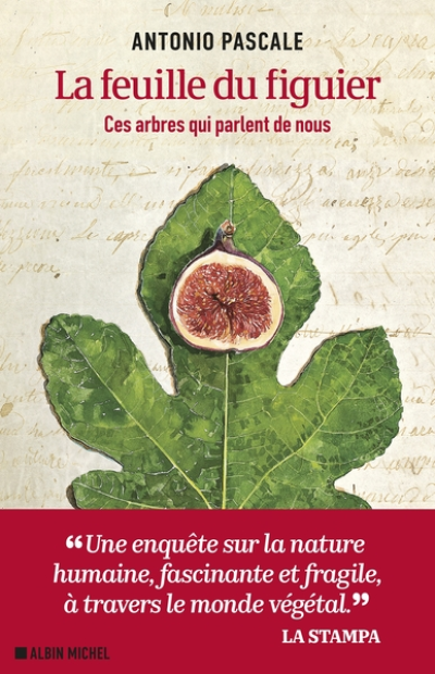 La Feuille du figuier: Ces arbres qui parlent de nous