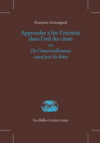 Apprendre à lire l'éternité dans l'oeil des chats