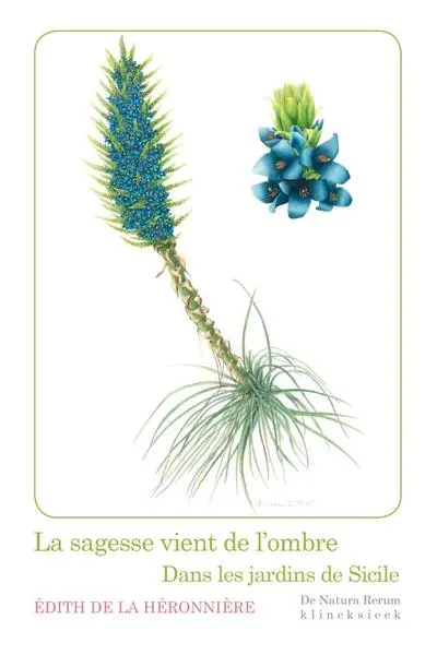La sagesse vient de l'ombre