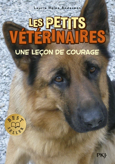Les Petits Vétérinaires, Tome 7 : Une leçon de courage
