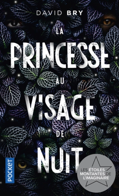 La Princesse au visage de nuit