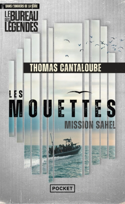 Les Mouettes - Mission Sahel