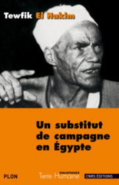 Un substitut de campagne en Egypte