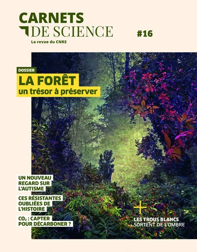 Carnets de science, n°16 : La forêt un trésor à préserver