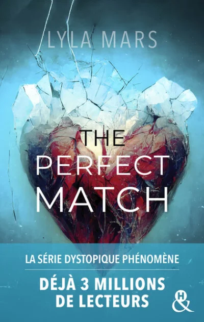 I'm not your soulmate, tome 1 : The perfect match