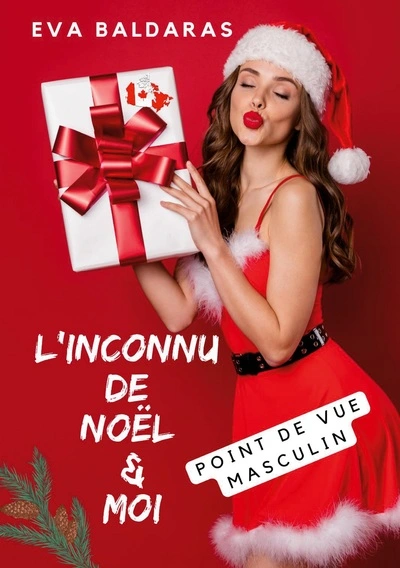L'inconnu de Noël et moi (point de vue masculin)