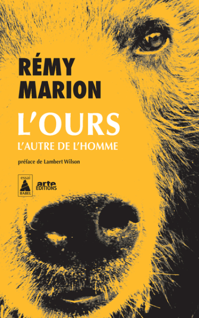 L'ours: L'autre de l'homme