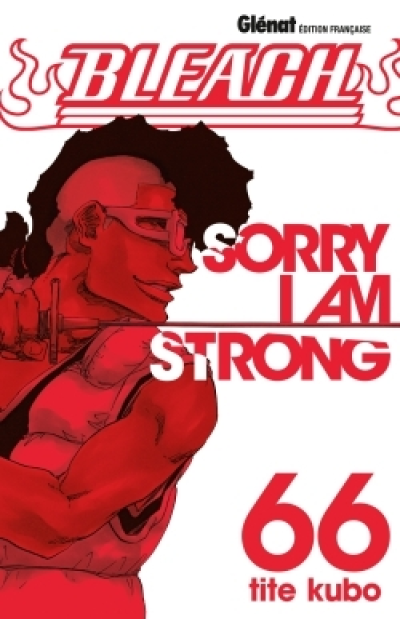 Bleach, tome 66 : Sorry, I am strong