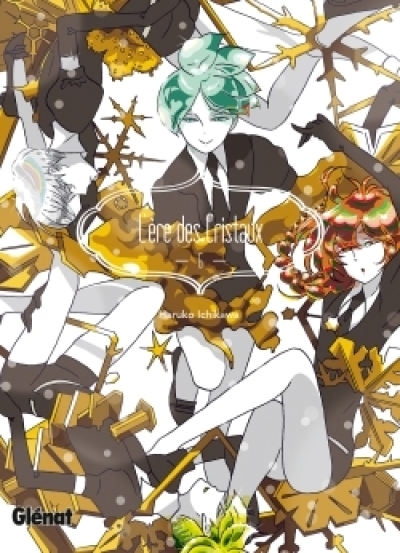 L'ère des cristaux, tome 6