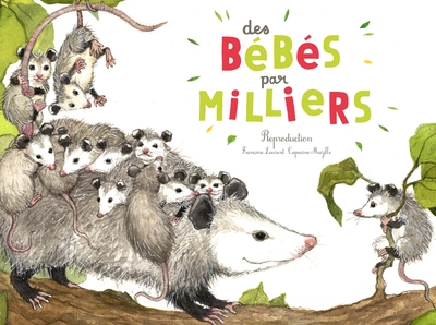 Des bébés par milliers : Reproduction