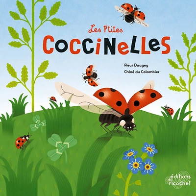 Les p'tites coccinelles : La vie d'un coléoptère