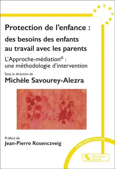 Protection de l'enfance : des besoins des enfants au travail avec les parents: L'Approche-médiation : une méthodologie d'intervention