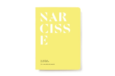 Le Narcisse en parfumerie