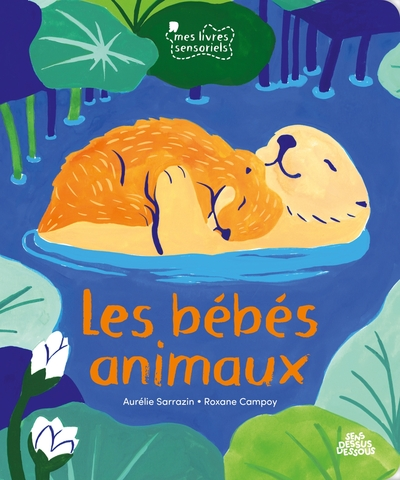 Bébés animaux