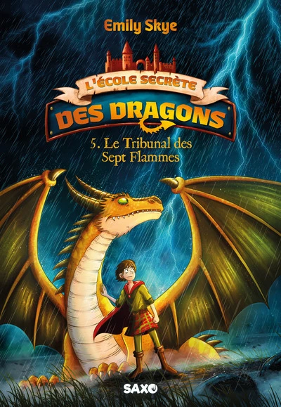 L'École secrète des dragons, Tome 5 : Le Tribunal des sept flammes