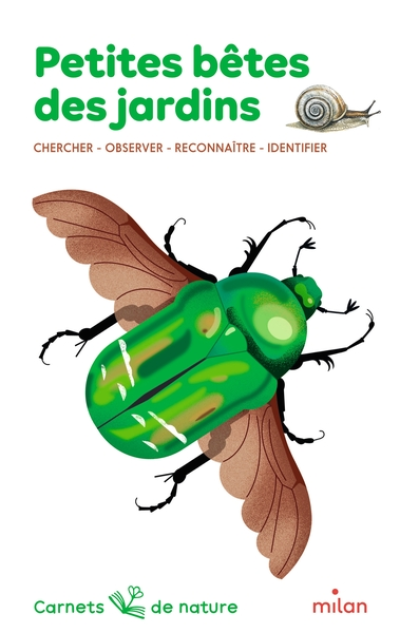 Carnets de nature : Petites bêtes des jardins