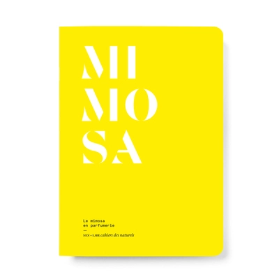 Le Mimosa en parfumerie