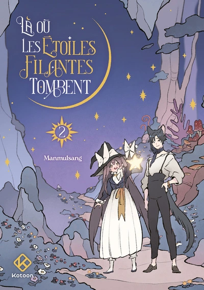 Là où les étoiles filantes tombent - tome 2