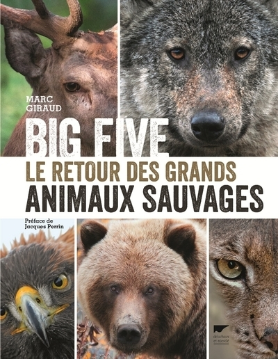 Big Five : Le retour des grands animaux sauvages