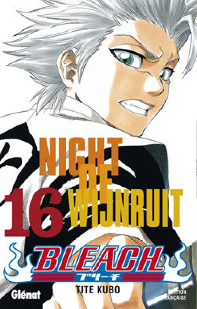 Bleach, tome 16 : Night of Wijnruit
