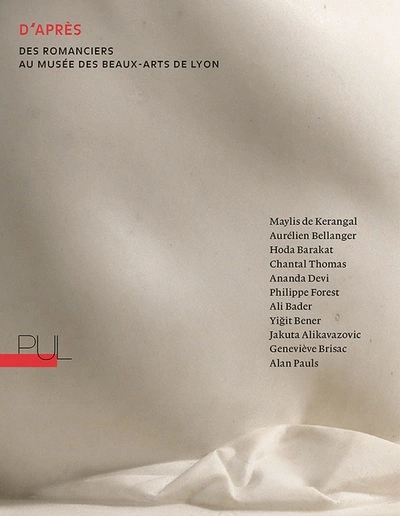 D'après : Des romanciers au musée des Beaux-Arts de Lyon