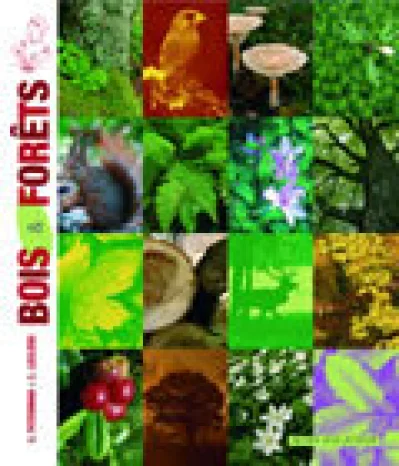 Bois et forêts